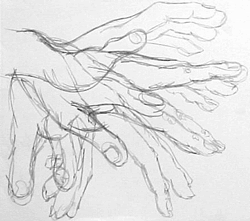 Study Hand Motion