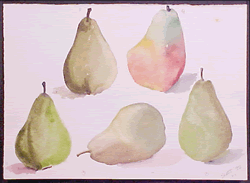 Watercolor Study Pears